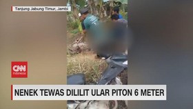 VIDEO: Nenek Tewas Dililit Ular Piton Sepanjang Enam Meter