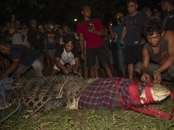 Penakluk Buaya Berkalung Ban di Palu Buka Suara, Ternyata Ini Rahasianya