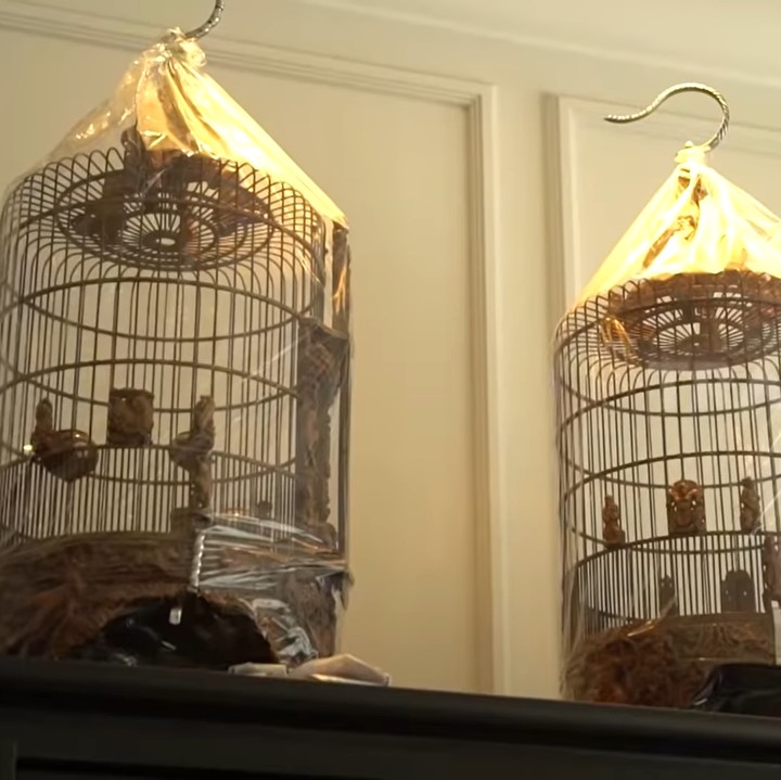<p>Saking sibuknya, Bu Rudy tak mengetahui ada berbagai barang mewah di rumah. Ia bahkan tidak pernah mengetahui bahwa suaminya menyimpan kandang burung senilai Rp30 juta. (Foto: YouTube Trans7 Official)</p>
