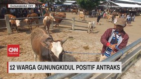 VIDEO: 12 Warga Gunungkidul Positif Antraks