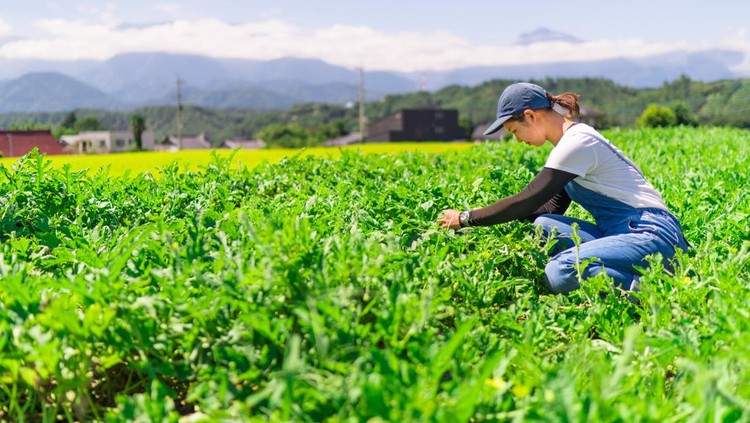 A young woman is working on a farm.