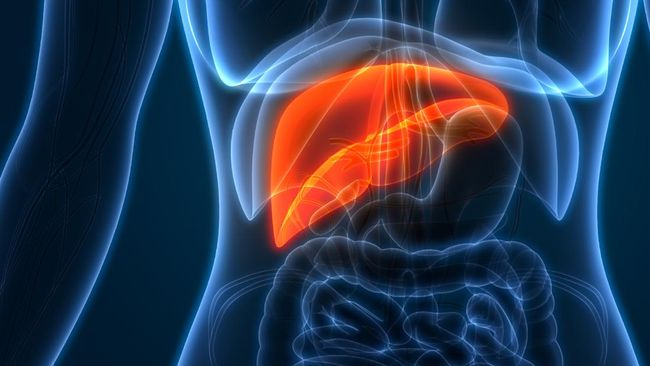 Alkohol bukan satu-satunya penyebab kanker hati, yang juga berkaitan dengan akumulasi penumpukan lemak di hati, yang berhubungan dengan obesitas dan diabetes.