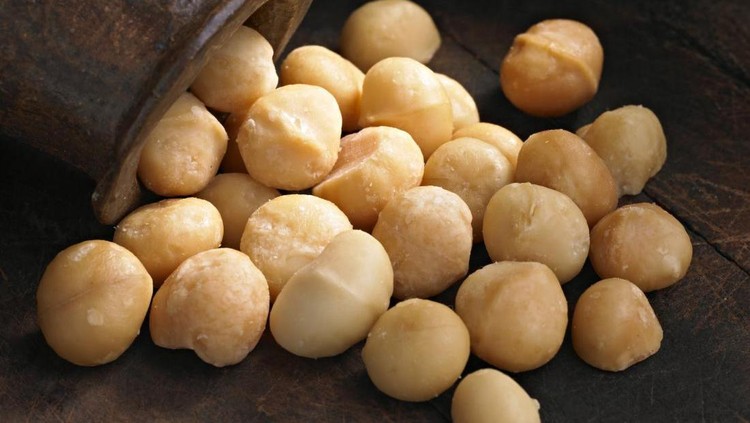 Ini Alasan Kacang Macadamia Harganya Termahal di Dunia
