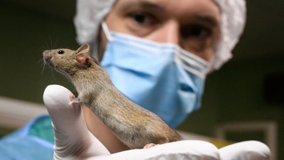 img-title FOTO: Pro Kontra Hewan Dijadikan Uji Tes Laboratorium di Swiss
