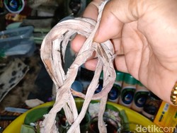 Wanita di Surabaya Ngaku Menyesal Curi Tali Pocong