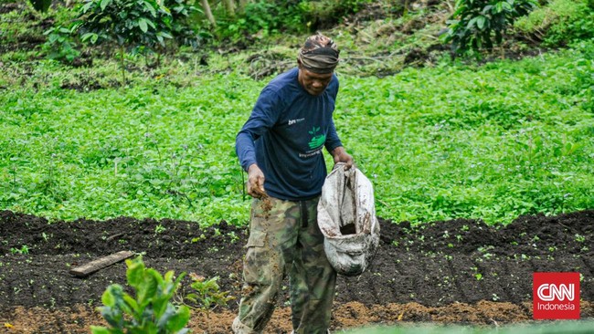 Petani dari Hutan Kemasyarakatan di Pagaralam tak sekadar menanam namun juga menjaga agar kawasan itu tetap rindang dan jadi penyerap karbon. 