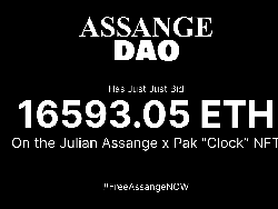 NFT Termahal Dunia Laku Rp 755 Miliar, Bela Julian Assange