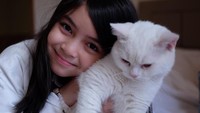 <p>Selain jago Bahasa Inggris, putri Marshanda ini juga pencinta binatang. Sienna memiliki kucing peliharaan bernama Luna. (Foto: Instagram @benkasyafani)</p>