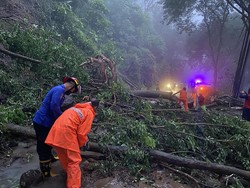 Longsor Tutup Total Jalur Utama Trenggalek-Ponorogo, Akses Lalin Macet 2 Arah