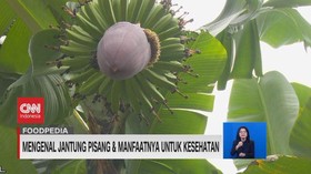 VIDEO: Mengenal Jantung Pisang & Manfaatnya untuk Kesehatan