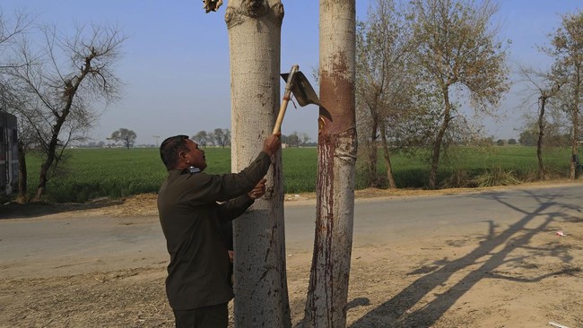 FOTO: Dituduh Bakar Alquran, Pria di Pakistan Digantung Massa