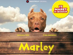 Sentil Isu Perdagangan Anjing Lewat Film Marley