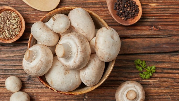 ilustrasi jamur kancing Fresh mushrooms cooking