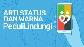 INFOGRAFIS: Arti Warna 'Status Sehat' di Aplikasi Peduli Lindungi