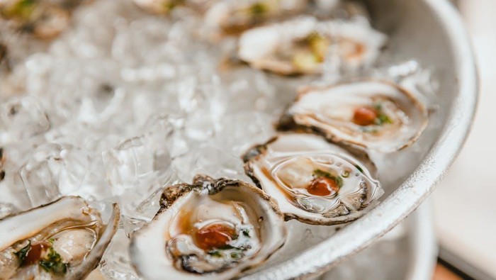 Viral Resto Oyster di Jakarta Tuai Protes Netizen, Ketahui Efek Buruk Kalau Kamu Menyantapnya Secara Asal Viral Resto Oyster di Jakarta Tuai Protes Netizen, Ketahui Efek Buruk Kalau Kamu Menyantapnya Secara Asal