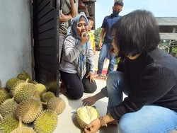 Omzet Pedagang Durian Khas Mojokerto Tembus Rp 16 Juta Per Hari