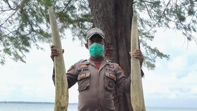 Temuan Tulang Ikan Raksasa di Sulsel, Ahli Sebut Bangkai Bukan Fosil