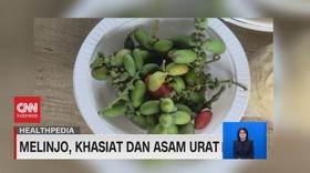 VIDEO: Melinjo, Khasiat & Asam Urat