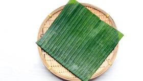 6 Manfaat Daun Pisang, Tak Cuma Jadi Bungkus Makanan