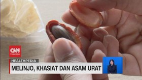 VIDEO: Melinjo, Khasiat, dan Asam Urat