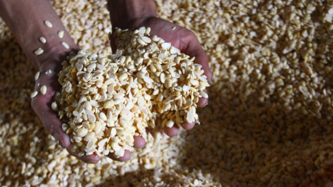 Pengamat menyebut ancaman tahu dan tempe mahal disebabkan oleh kegagalan pemerintah memberikan kepastian keuntungan ke petani kedelai. Berikut penjelasannya.