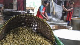 Pemkot Temukan Kedelai Dijual Rp14 Ribu per Kg di Pasar Bogor