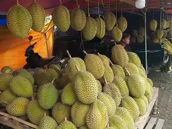 Pasar Wisata Cheng Hoo Kini Sepi Dampak Viral Durian Zonk