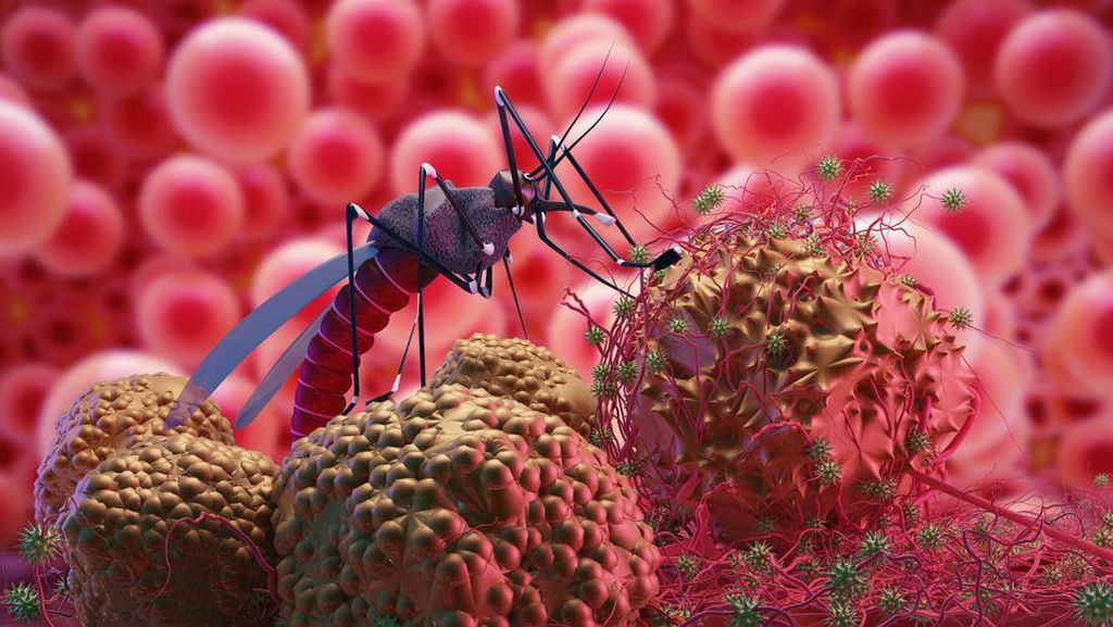 DBD Masih Mengintai, Meski Angka Kematian Terus Menurun