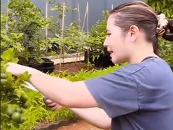 Cerita Prilly Latuconsina Punya Kebun Sayur dan Buah