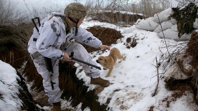 Seorang warga yang tinggal di Donetsk, daerah kekuasaan separatis pro-Rusia, menemukan properti mereka hancur akibat bentrok di wilayah itu.