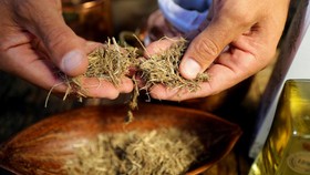 FOTO: Menyulap Kotoran Gajah Afrika Selatan Jadi Minuman Gin