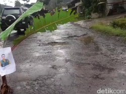 Aksi Mahasiwa-Warga Cianjur Tanam Pohon Pisang di Jalan Provinsi yang Rusak