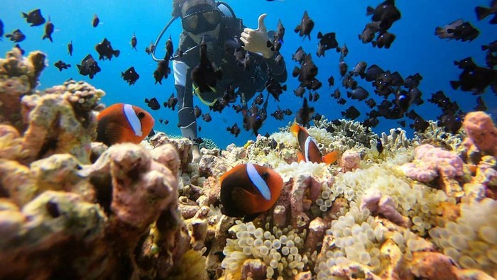 Nggak Cuma Diving dan Snorkeling, 4 Kegiatan Seru Ini Juga Wajib Kamu Lakukan di Wakatobi!