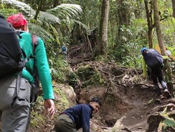 Perjuangan Elfin Nugraha Naik Gunung, Merangkak sampai Puncak