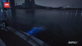 VIDEO: Wisatawan Nikmati Fenomena Alam Air Mata Biru Di Tiongkok