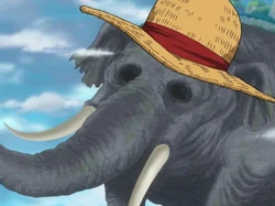 Dua Misteri Paling Kuno di Manga One Piece Segera Muncul