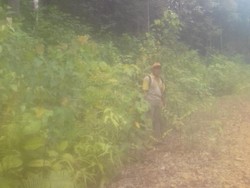 Sosok Penjaga Hutan Adat Dayak di Sudut Kalimantan
