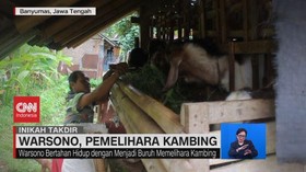 VIDEO: Warsono, Pemelihara Kambing