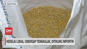 VIDEO: Kedelai Lokal: Disergap Tengkulak, Ditikung Importir