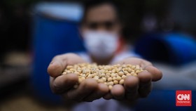Harga Kedelai di Global Melonjak 18,9 Persen pada Pekan ke-2 Februari