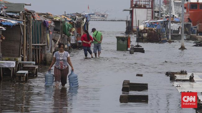 4 RT di Jakarta Utara Diterjang Banjir Rob Empat rukun tetangga (RT) itu tersebar di Kelurahan Pluit. Ketinggian air rob di empat RT itu berkisar 20 sentimeter.