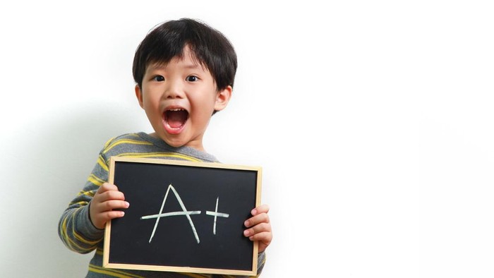 Orangtua Wajib Tahu! Ini 5 Jenis Ikan yang Bisa Tingkatkan Kecerdasan Otak Anak