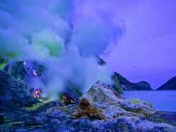 BBKSDA Jatim Sangsikan Kealamian Blue Flame: Mau Lihat Dibakarkan