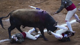FOTO: Nasib Adu Banteng Meksiko di Ujung Tanduk
