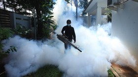 Kasus DBD Meningkat, 816 Kematian Sepanjang 2022