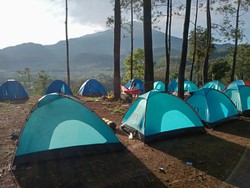 Sensasi Berkemah di Alas Pacet Saat Weekend, Pemandangan Hutan Pinusnya Juara!