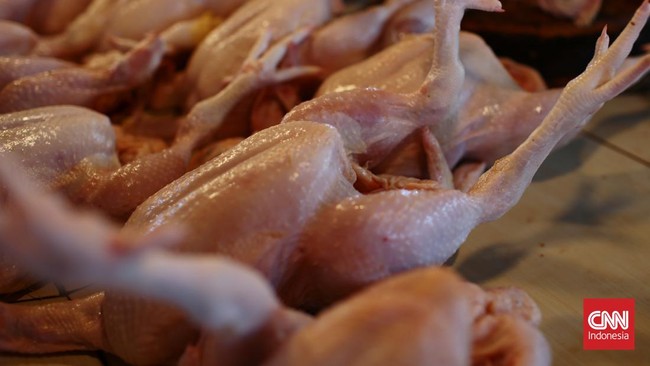 Transmart Cempaka Putih menyediakan lebih dari 1.000 ekor daging ayam. Hingga malam ini sudah laku terjual sampai 400 ekor.