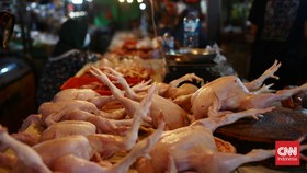 Stok Ayam Langka di Singapura Jelang Malaysia Tutup Pintu Ekspor