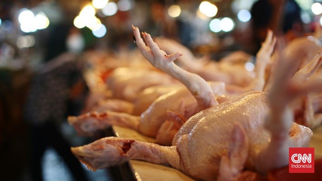 Harga daging ayam melonjak dalam sepekan terakhir. Per Kamis (12/10), daging ayam ras segar dibanderol Rp36.250 per kg.