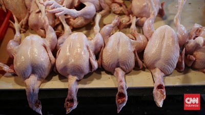 Harga Daging Ayam dan Cabai Ikut Melesat Ikuti Kenaikan Harga BBM